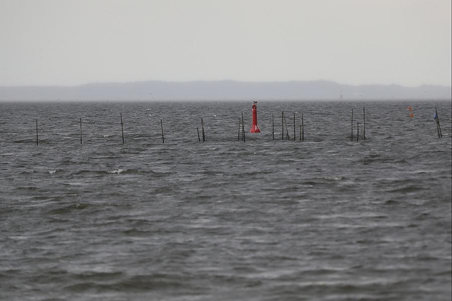 Wetterbericht für Mecklenburg-Vorpommern (18.08.2026)