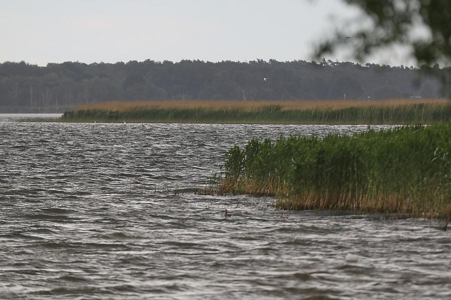 Wetterbericht für Mecklenburg-Vorpommern (17.08.2026)