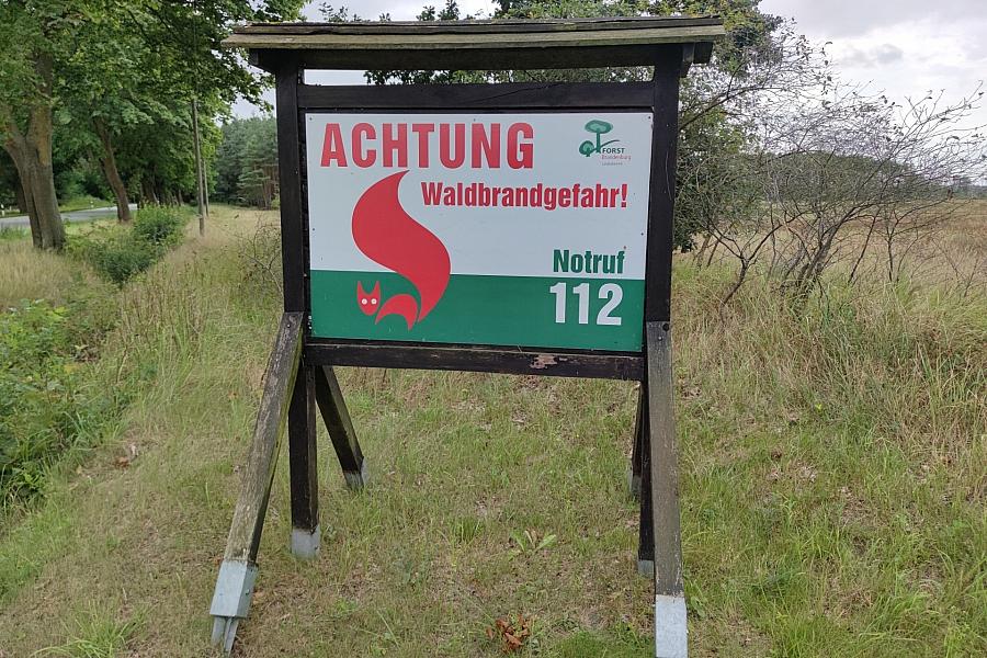 Waldbrandgefahr in Europa steigt: Meteorologe Terli warnt vor extremer Trockenheit und fordert mehr Klimaschutz