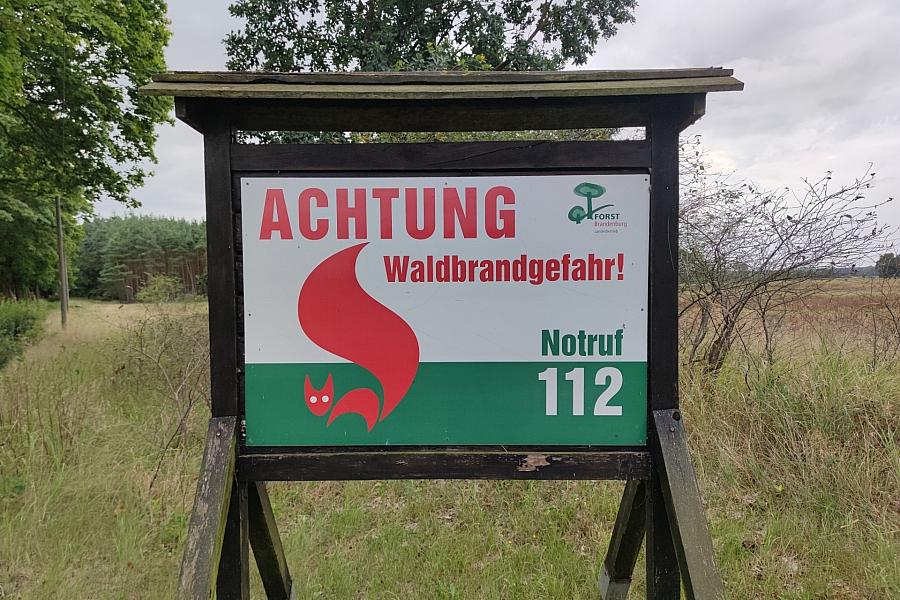 Waldbrand-Gefahr: Grüne fordern nationale Strategie und mehr Investitionen