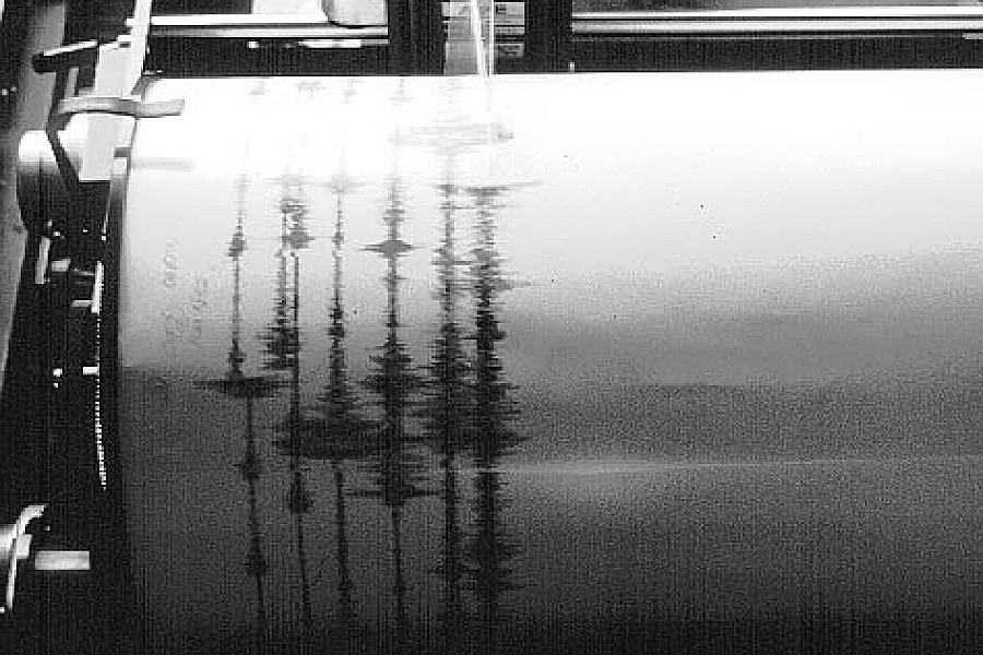 Seismograph bei der Aufzeichnung eines Erdbebens (Archiv)
