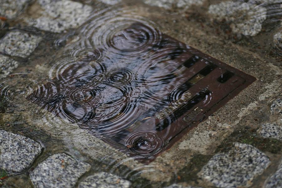 Freitag drohen Gewitter in Mecklenburg-Vorpommern