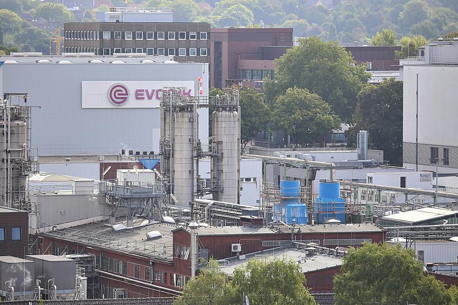 Niedrigwasser am Rhein: Produktionsverluste von fast einer Milliarde Euro drohen