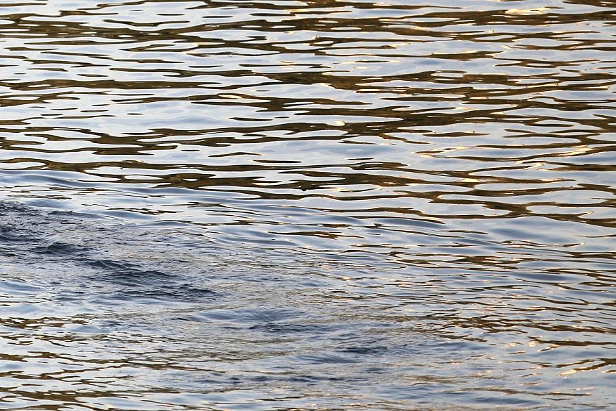 BUND kritisiert Niedrigwasserkonferenz ohne Umweltverbände und fordert nachhaltige Lösungen