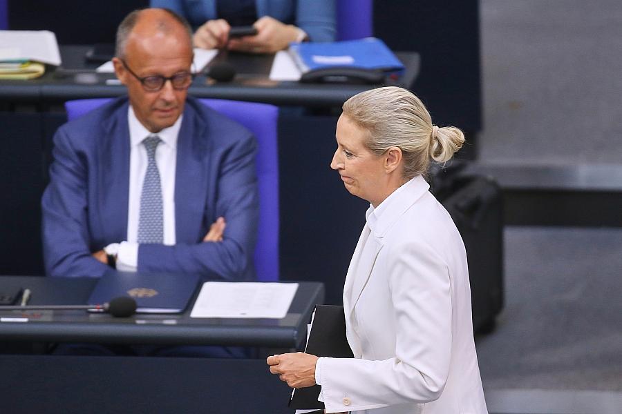 Friedrich Merz und Alice Weidel (Archiv)