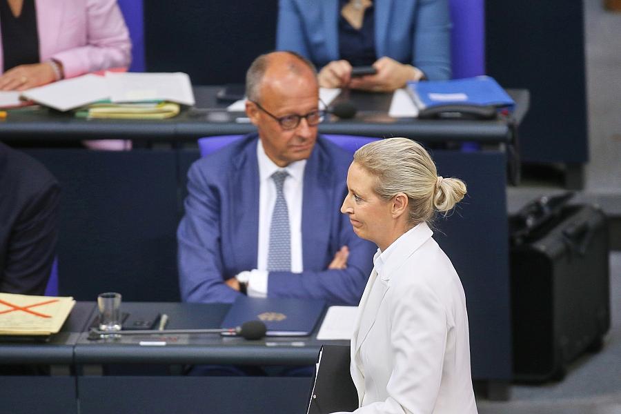 Friedirch Merz und Alice Weidel (Archiv)