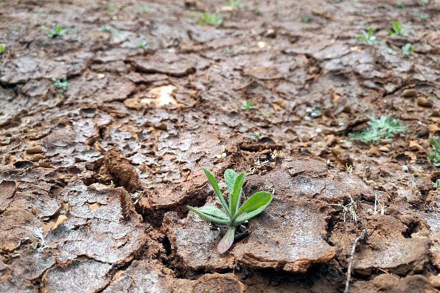 EU-Klimaziele: Von der Leyen verteidigt Kurs und kündigt Hitzewellenplan an