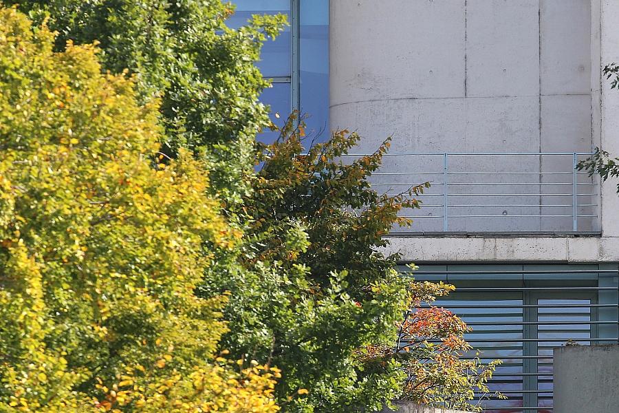 Philipp Amthor lässt Strandkorb aus Kanzleramt wieder abtransportieren