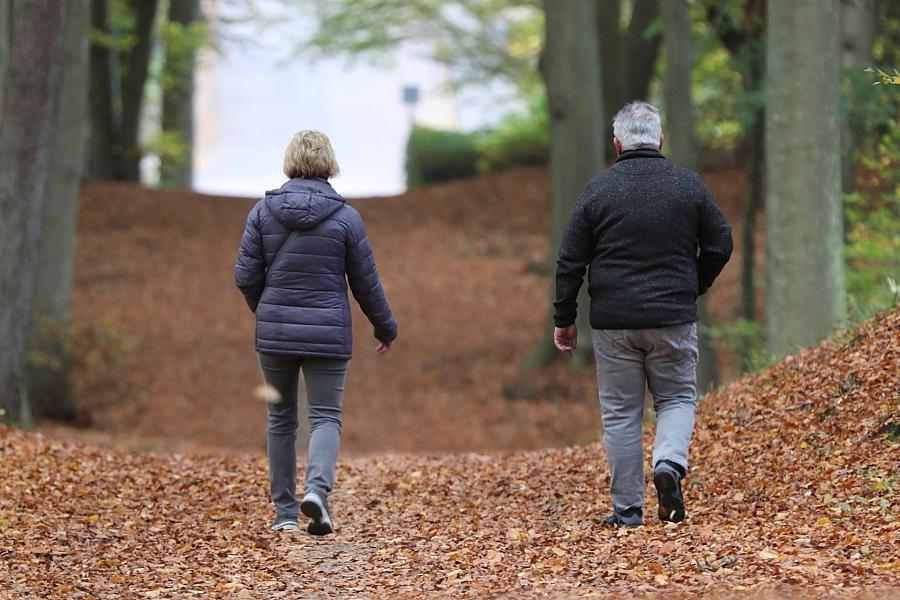 Ruheständler ab 65 haben im Median 2.330 Euro Haushaltsnettoeinkommen