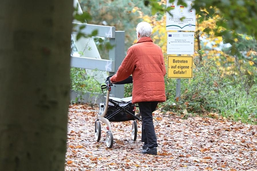 Rentenreform: Wirtschaftsweiser Werding fordert Gegenvorschläge und warnt vor Aufschnüren des Rentenpakets