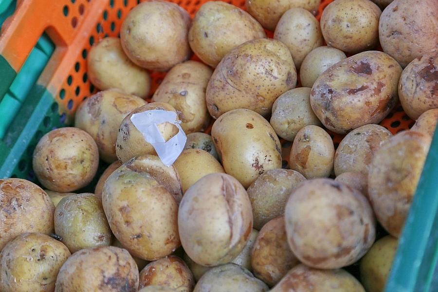 Erzeugerpreise Landwirtschaft August 2026: 5,5 Prozent Plus zum Vormonat, Kartoffeln und Gemüse teurer, Milch und Fleisch günstiger
