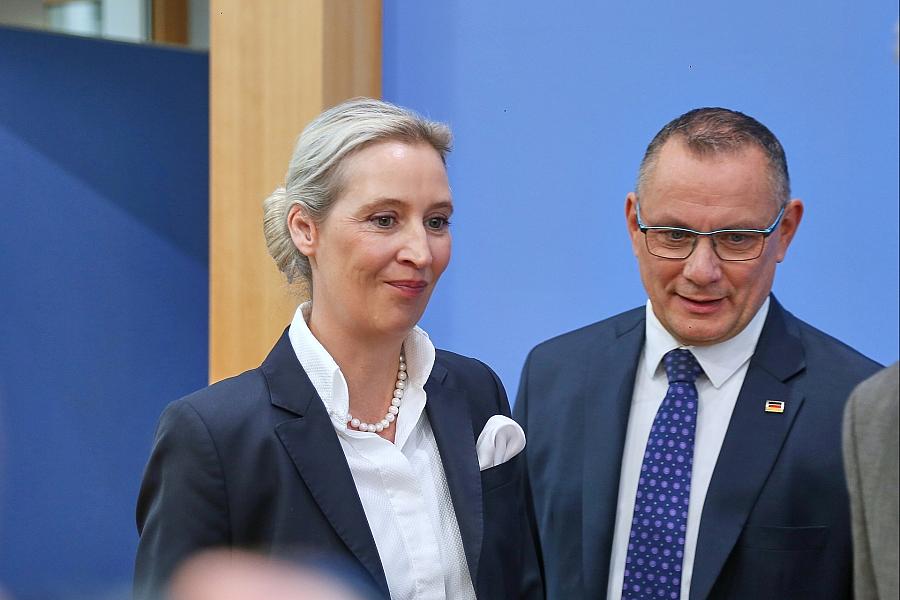 Allensbach: AfD weiterhin vorn – Union verliert, SPD und Linke legen leicht zu
