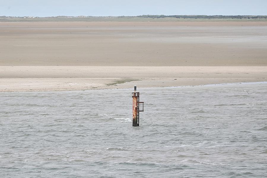 Dalbe in der Nordsee (Archiv)